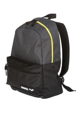 Arena Team Backpack 30L Schwimmtasche schwarz