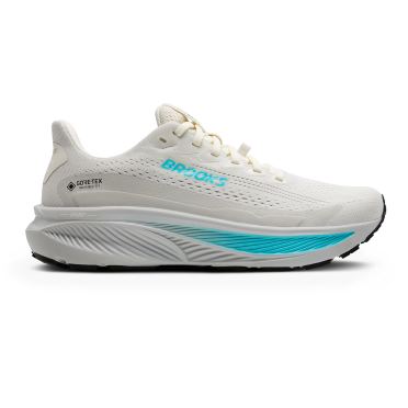 Brooks Ghost 17 GTX Laufschuhe Coconut/Oyster/Blue Damen 