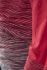 Craft Wool Comfort 2.0 Langarm Unterwäsche Rot Damen  1905341-452975
