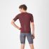 Castelli Premio evo bibshort grau herren  4525000-021