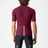 Castelli classifica kurzarmtrikot dunkelrot herren  4521021-421