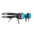 Sailfish Schwimmbrille Sweden Gold Mirror  G00351C90M