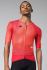 Gobik Carrera 2.0 radtrikot kurzarm cherry unisex  10-01-056-011