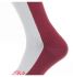 Sealskinz Cold weather knee Radsocken mit Hydrostop Grau/Rot  11100065-0060