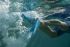 Sailfish Schwimm Flossen  G00338C30