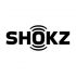 Shokz OpenRun Pro Kopfhorer Schwarz  S810BK